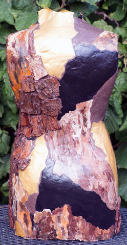 2025 Torso Innere Werte hinten web